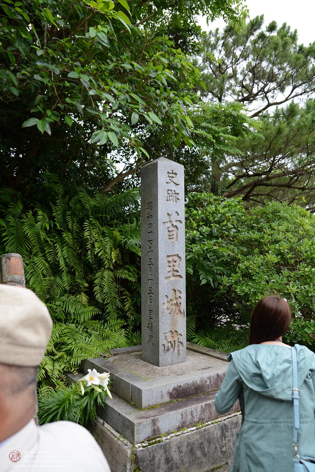 DSC_3295.jpg